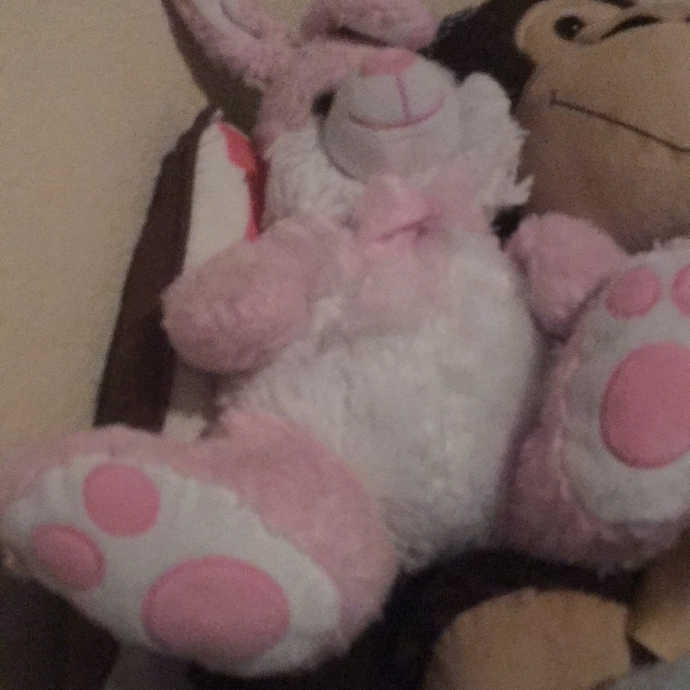 Junk - Picture 7 of 8